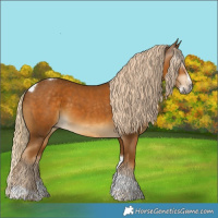 Horse Color:Gray Palomino Splash Tobiano Appaloosa