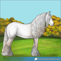 Horse Color:Gray Palomino Splash Tobiano Varnish 