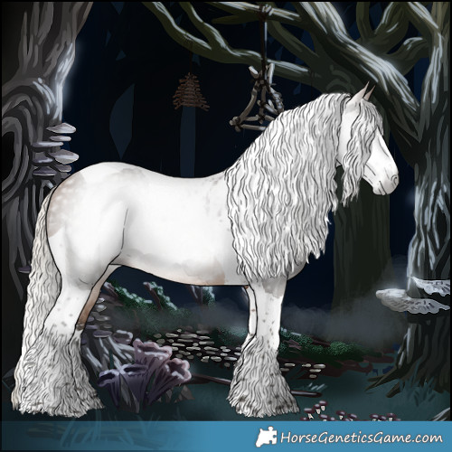 Horse Color:Gray Silver Buckskin Sabino Tobiano Rabicano 