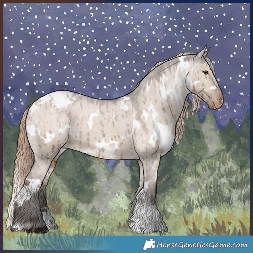Horse Color:White Spotted Liver Red Dun Appaloosa Brindle 
