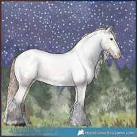 Horse Color:White Spotted Liver Red Dun Varnish Brindle 