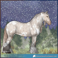 Horse Color:White Spotted Liver Red Dun Appaloosa Brindle 