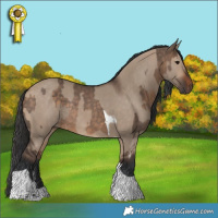 Horse Color:Brown Dun Tobiano Rabicano  and Bay Dun Tobiano Rabicano 
