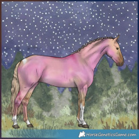 Horse Color:Chocolate Palomino Dun Tobiano 