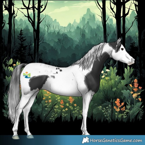 Horse Color:Black Splash Tobiano 