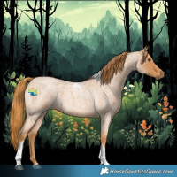 Horse Color:Red Roan Tobiano 
