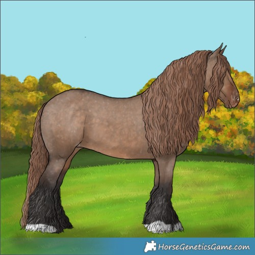 Horse Color:Liver Red Dun Appaloosa 