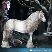 Horse Color:Gray Liver Chestnut Tobiano Appaloosa and White Spotted Liver Chestnut Tobiano Appaloosa