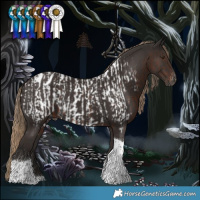 Horse Color:Gray Liver Chestnut Tobiano Near Leopard and White Spotted Liver Chestnut Tobiano Blanket