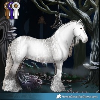 Horse Color:Gray Liver Chestnut Tobiano Appaloosa and White Spotted Liver Chestnut Tobiano Appaloosa