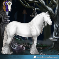 Horse Color:Gray Liver Chestnut Tobiano Appaloosa  and White Spotted Liver Chestnut Tobiano Appaloosa 