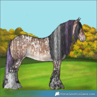 Horse Color:Watercolor White Spotted Red Onyx Tobiano Appaloosa  and Brown Dun 