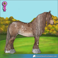 Horse Color:White Spotted Liver Red Dun Rabicano  and Liver Red Dun Rabicano Brindle 