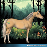 Horse Color:Palomino Dun 