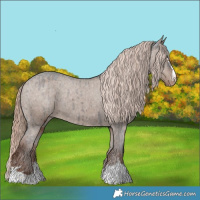 Horse Color:Liver Red Dun Varnish Brindle 