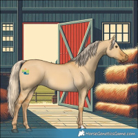 Horse Color:Palomino Dun 