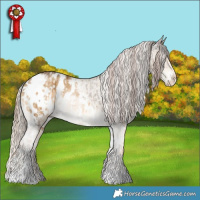 Horse Color:Liver Red Dun Splash Tobiano Snowcap Brindle  and White Spotted Chocolate Palomino Dun Blanket Brindle 