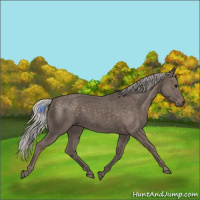 Horse Color:Silver Black 