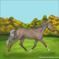 Horse Color:Silver Grullo 