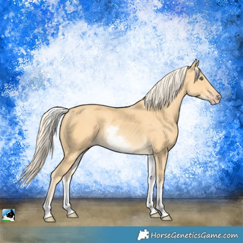 Horse Color:White Spotted Gold Cream Champagne 