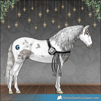Horse Color:Gray Silver Black Ice Splash Tobiano Rabicano 