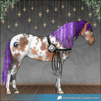 Horse Color:Painted White Spotted Bay 