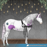 Horse Color:Watercolor Silver Black Splash Tobiano Rabicano 