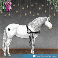 Horse Color:Watercolor Silver Black Ice Splash Tobiano Frame Rabicano 