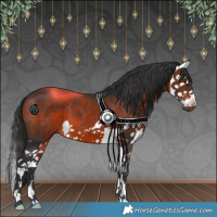 Horse Color:Brown Splash