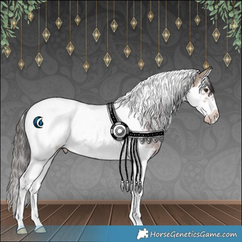 Horse Color:Classic Champagne Ice Splash Tobiano Frame Rabicano 