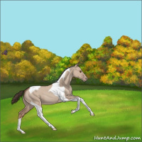 Horse Color:Classic Champagne Dun Tobiano 