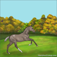 Horse Color:Silver Grullo Varnish 