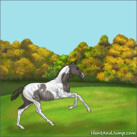 Horse Color:Smoky Grullo Tobiano Varnish Rabicano 