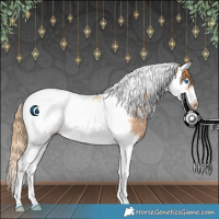 Horse Color:Chestnut Ice Splash Tobiano Frame Rabicano 