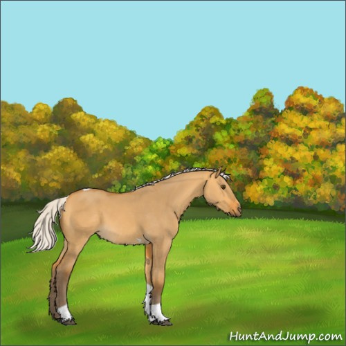 Horse Color:Silver Buckskin Dun Tobiano 