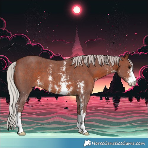 Horse Color:Chocolate Silver Brown Sabino