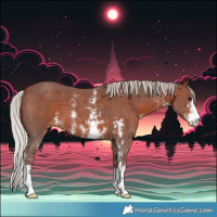 Horse Color:Chocolate Silver Brown Sabino 