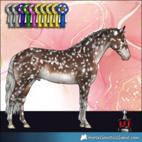Horse Color:Silver Brown Tobiano Appaloosa Rabicano