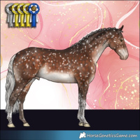 Horse Color:Silver Brown Tobiano Appaloosa Rabicano 