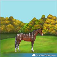 Horse Color:Powder White Brown 