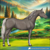 Horse Color:Silver Black Sabino 