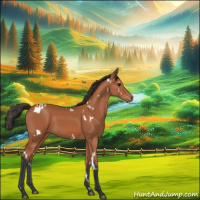 Horse Color:White Spotted Bay 