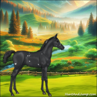 Horse Color:White Spotted Black