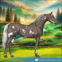 Horse Color:White Spotted Silver Black 