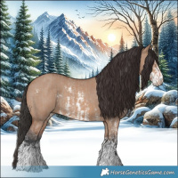 Horse Color:Bay Dun Sabino Rabicano  and Brown Dun Sabino Rabicano 