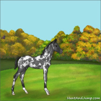 Horse Color:White Spotted Blue Roan Snowflake Varnish 