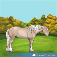 Horse Color:Chocolate Palomino Pearl Tobiano 