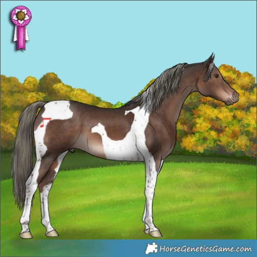 Horse Color:Liver Chestnut Mushroom Tobiano 