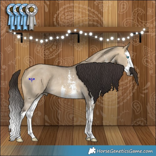 Horse Color:Buckskin Dun Sabino Splash Rabicano 