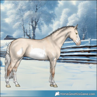 Horse Color:Silver Sable Champagne Dun Sabino Frame 
